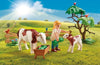 Playmobil Country - Farm with Small Animals (70887